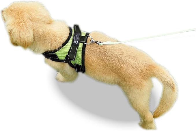 No Pull Reflective Adjustable Dog Harness With Handle- Comfortable Soft All Weather Mesh, Easy On Puppy Harness For Small Medium and Large Dogs (Green) XX-Small