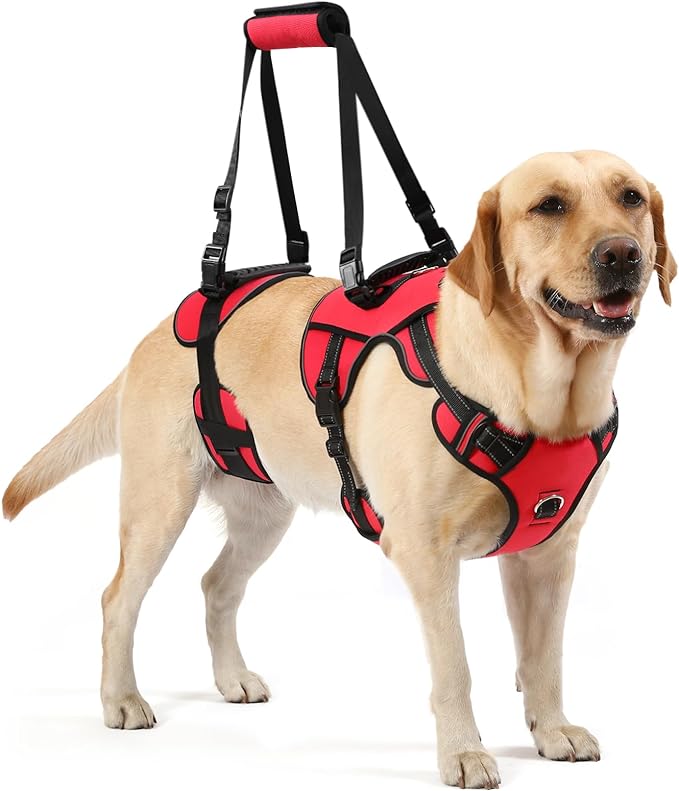 NOYAL Dog Lift Harness Pet Support Rehabilitation Sling Lift Front-Only, Rear-Only or Full-Body for Old, Disabled, Joint Injuries, Arthritis, Loss of Stability Dogs