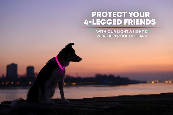 ILLUMISEEN LED Dog Collar USB Rechargeable - Bright & High Visibility Lighted Glow Collar for Pet Night Walking -Weatherproof, in 6 Colors & 6 Sizes (Pink Large)
