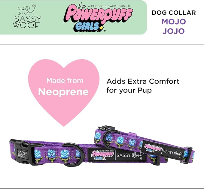 Mojo JoJo™ - S, Dog Collar, Adjustable, Durable, Comfortable and Stylish Pet Accessories for Small Dogs