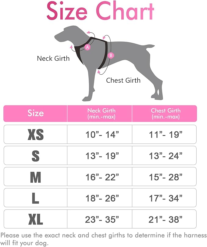 rabbitgoo Dog Harness,No-Pull Pet Harness with 2 Leash Clips, Adjustable Soft Padded Dog Vest, Reflective No-Choke Pet Oxford Vest with Easy Control Handle for Large Dogs, Pink, XL