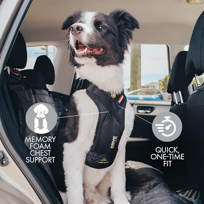 EzyDog Drive Safety Travel Dog Car Harness - Crash Tested US (FMVSS 213) - Premium Vehicle Restraint Vest for Protection and Comfort - Easy One Time Fit and Use with Car Seat Belt (Large)