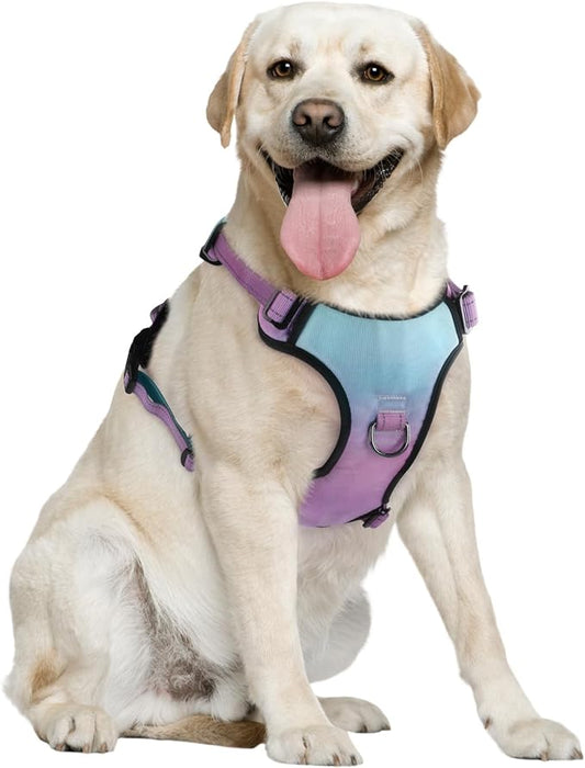 QQPETS No Pull Dog Harness with 2 Leash Clips，Adjustable Soft Padded Dog Vest, Reflective Outdoor Pet Oxford Vest with Easy Control Handle for Small to Large Dogs Walking Training