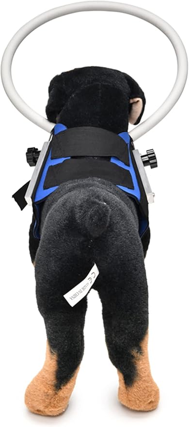 GabeFish Ring Harness for Blind Dog, Adjustable Blind Dog Ring, Blind Dog Accessories, Bumper Guards for Blind Dogs Blue Medium