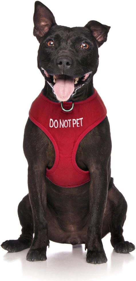 Limited DO NOT PET Red Color Coded Non-Pull Front and Back D Ring Padded and Waterproof Vest Dog Harness Prevents Accidents by Warning Others of Your Dog in Advance (S)