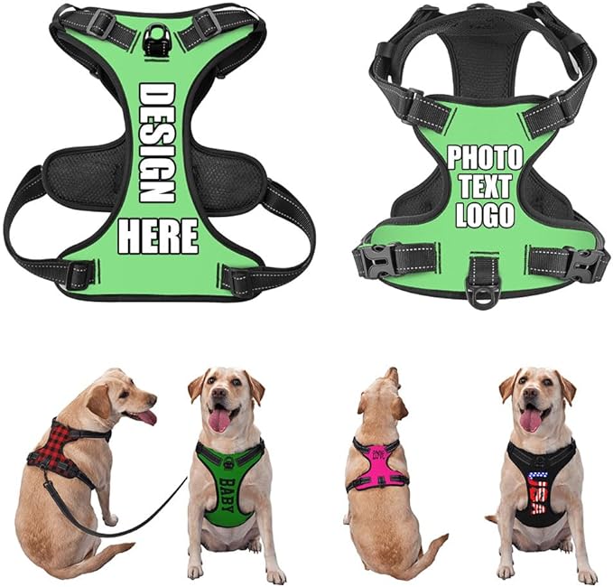 Custom Name Harness for Dog, Customized Pet Harnesses for Large Dogs, Personalized Dog Harness for Small Dog, Custom Pet Vest for Puppy, No Pull Dog Vests Personalization, LightGreen, L