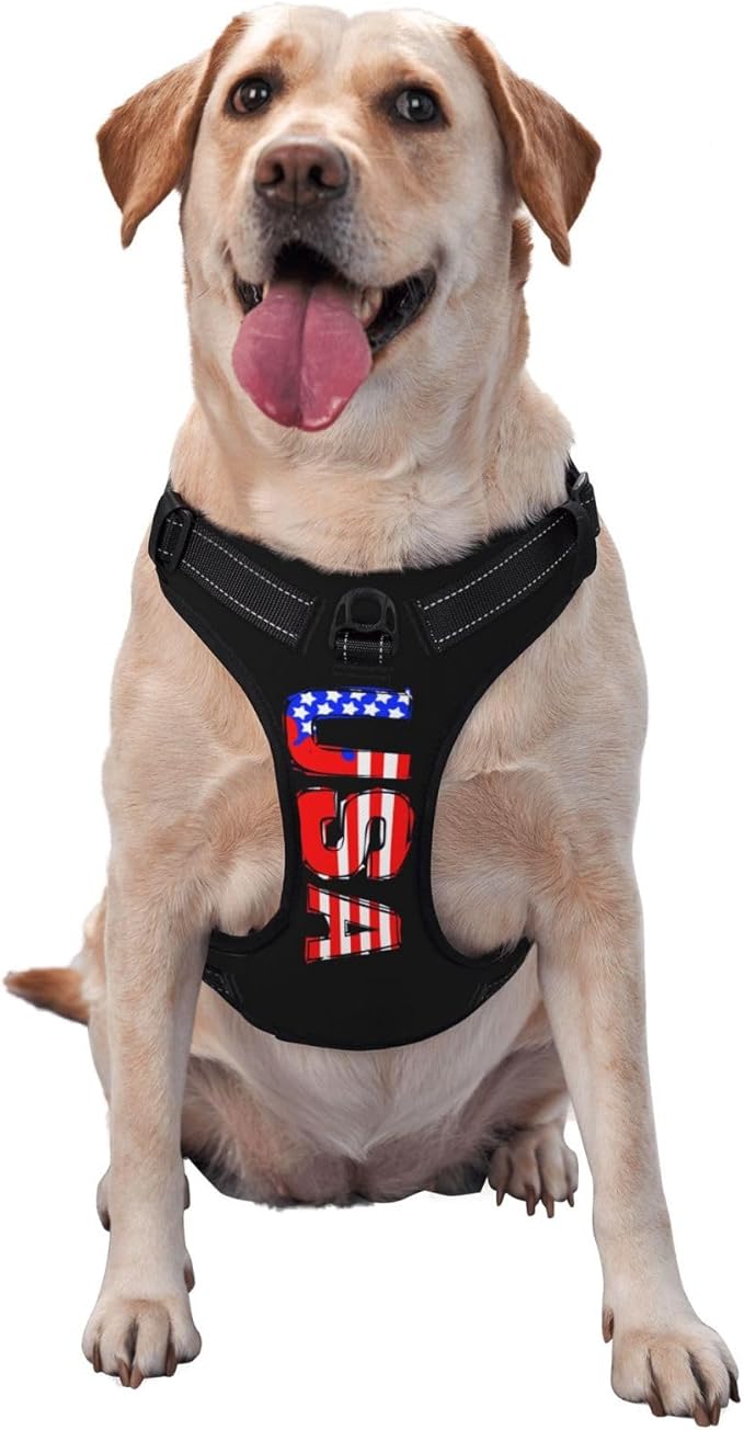 Custom Dog Harness with Name Phone No., Customized No Pull Pet Vest for Small Medium Large Dog, Personalized Heavy Duty Dog Vest, Adjustable Reflective Pet Harness Custom, Goldenrod, S