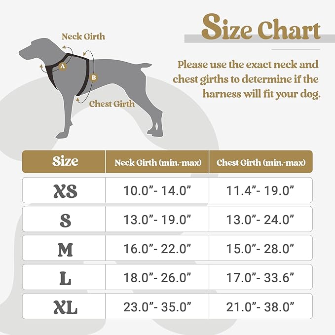 rabbitgoo Dog Harness, No-Pull Pet Harness with 2 Leash Clips, Adjustable Soft Padded Dog Vest, Reflective No-Choke Pet Oxford Vest with Easy Control Handle for Large Dogs, Beige, XL