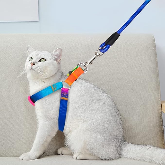 PetsHome Dog Harness & Leash Set Adjustable No Pull Safe Nylon Pet Harness with Leash for Outdoor Walking for Dogs Medium Rainbow