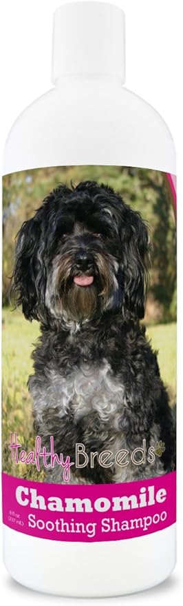 Healthy Breeds Maltipoo Chamomile Soothing Dog Shampoo 8 oz