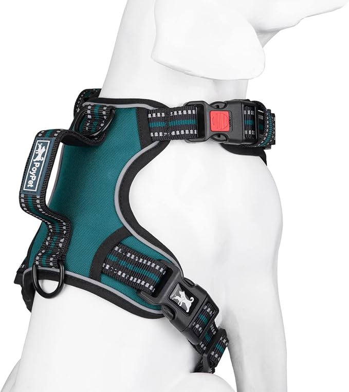 PoyPet No Pull Dog Harness, No Choke Front Clip Reflective Dog Vest with Soft Padded Vertical Handle, 3 Leash Attachments for Small Medium Large Dogs (Tumalo Teal,L)