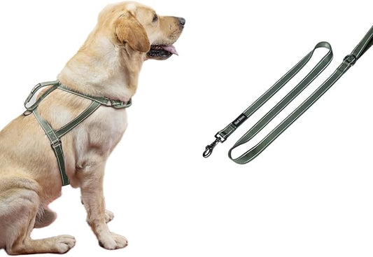 SATSUN Dog Harness & Leash Set, No Pull Dog Harness with 2 Adjustable Points & 1 Leash Clip, Reflective Comfortable Dog Vest with Easy Control Handle Ideal for Walking and Training, Army Green,L