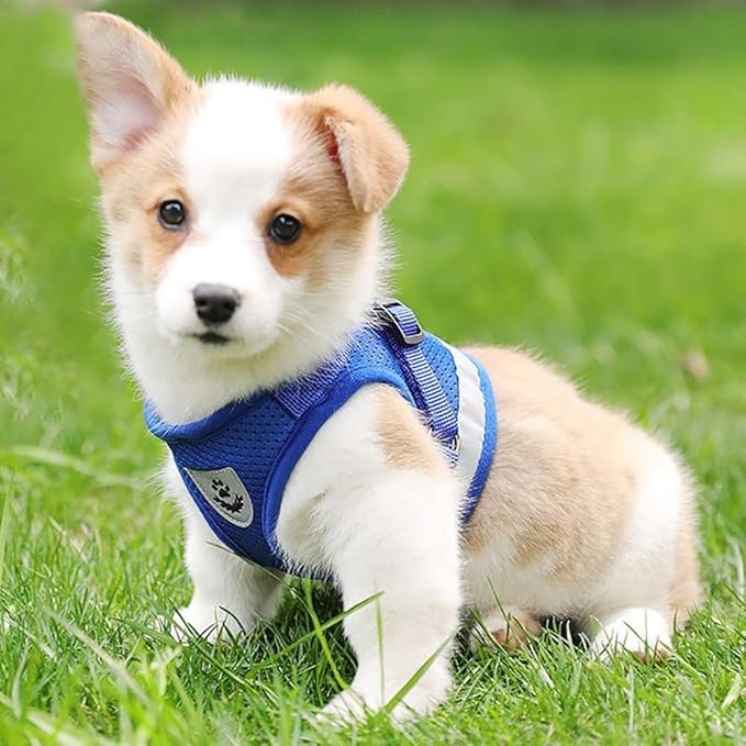 Cat Harnesses for Small Dogs - Cat Harnesses and Leashes for Walking, Adjustable Reflective Step in Dog Harness for Small Dog and Cat(Blue, S (11.8” – 13.3”)