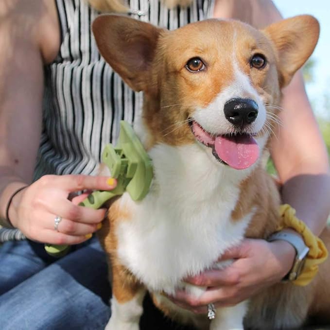 Coastal Pet Safari Dog Self-Cleaning Slicker Brush - Dog Deshedding Brush - Prevents Mats and Tangled Hair - For Dogs with Short or Long Hair - Medium - 4.25" x 4.06"