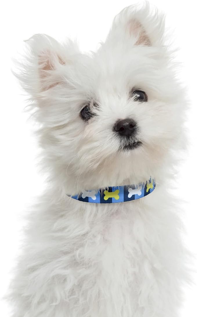 Mile High Life Dog Collar | Nylon Puppy Collars w Cute Patterns | Lightweight Girl Dog Collar | Boy Dog Collar for Small/Medium/Large Dogs (Blue Bone, Medium)