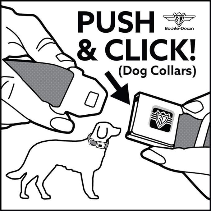 Buckle-Down Dog Collar Seatbelt Buckle Dug 3 Poses Squirrel Brown Yellow White 15 to 26 Inches 1.0 Inch Wide (DC-WDY293-L)