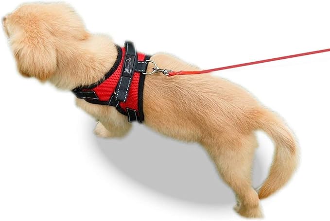 Dog Harness Small Sized Dogs - All Weather Mesh overhead adjustable no pull Vest Puppy reflective Harness with handle for Extra Small and Small Dogs by Copatchy - Harness (Red) X-Small