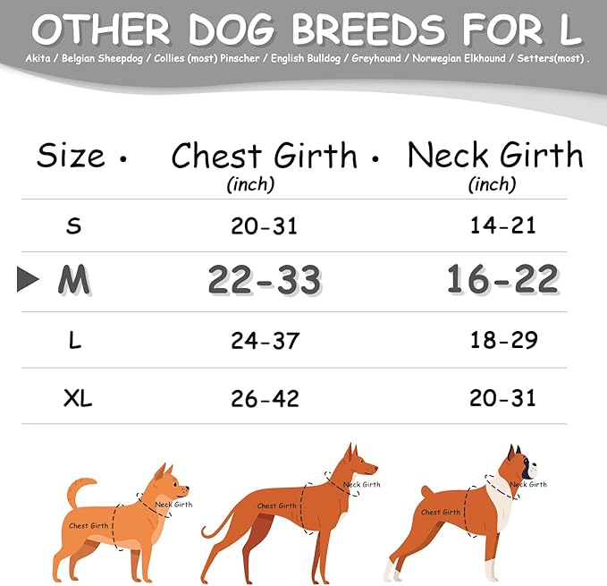 AUROTH Dog Harness Medium Sized Dog, Dog Vest Harness Medium Size Dog, Medium Dog Harness, No Pull Dog Harness for Medium Dogs with Handle, Black M