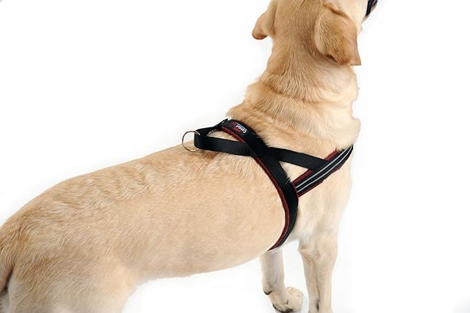 ComfortFlex Sport Harness - American Made No Pull XXSmall Dog Harness - Lightweight, Padded, Reflective No Rub Harness for Walking & Running - XXSmall, Saffron Yellow