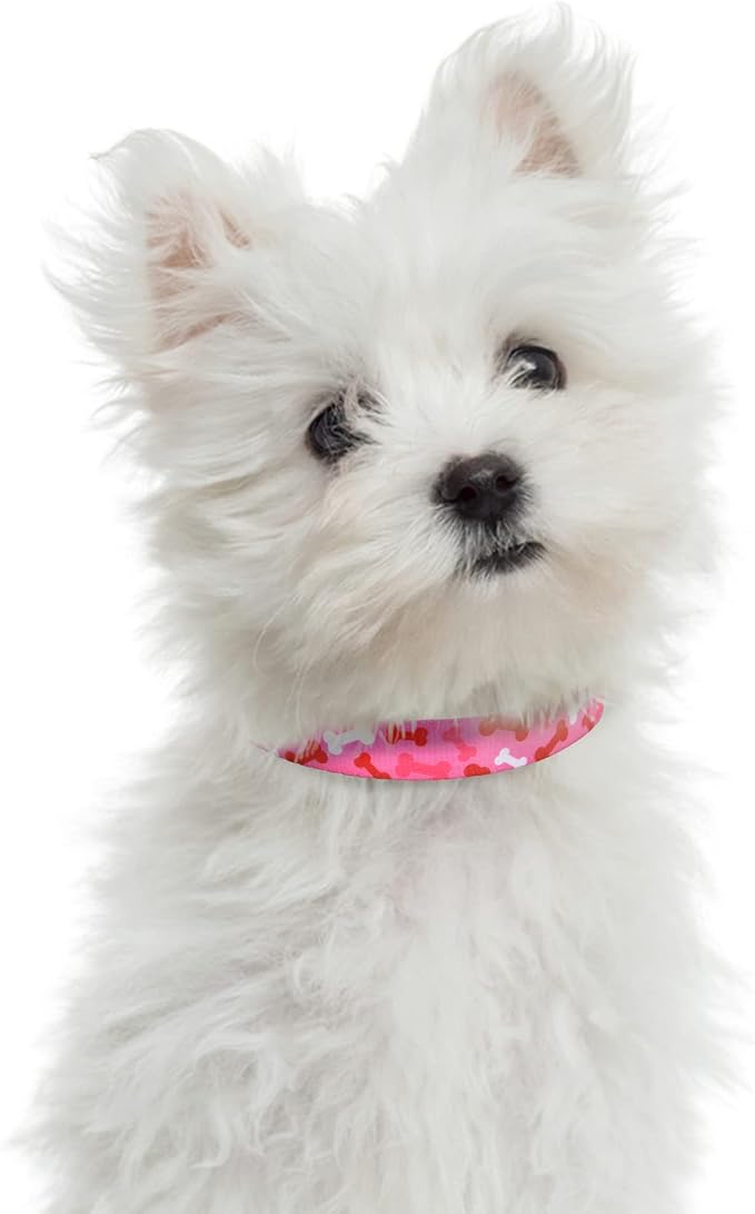 Mile High Life Dog Collar | Nylon Puppy Collars w Cute Patterns | Lightweight Girl Dog Collar | Boy Dog Collar for Small/Medium/Large Dogs (Pink Bone, Medium)
