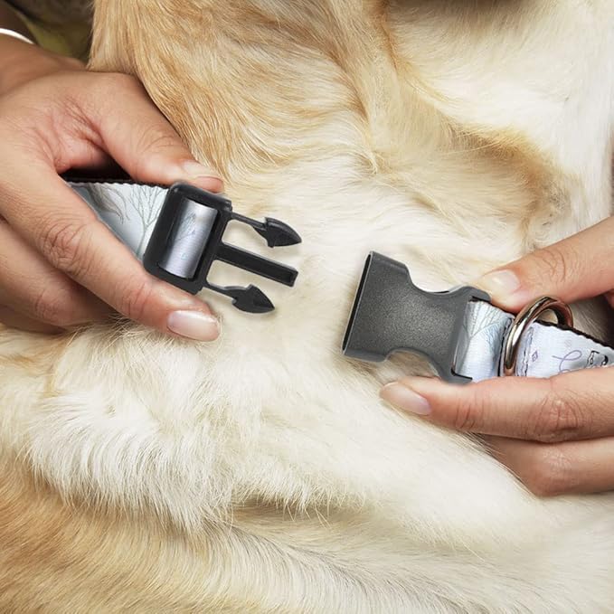 Disney Pet Collar, Dog Collar Plastic Buckle, Frozen Elsa Snowflake Pose with Trees and Script Blues, 7 to 8.5 Inches 0.5 Inch Wide