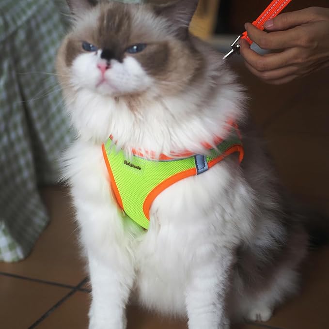 Soft Mesh Dog Harness and Leash Set, No-Chock Step-in Reflective Breathable Lightweight Easy Walk Escape Proof Vest Harnesses with Safety Buckle for Small Medium Dogs, Cats (Green, Large)