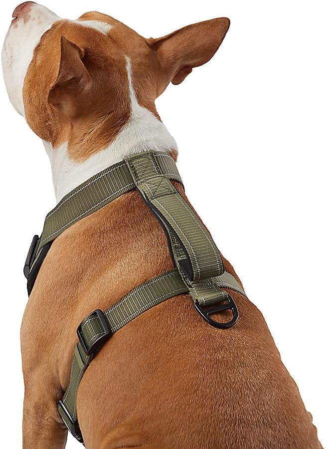 KONG Max Ultra Durable Neoprene Padded Chest Plate Dog Harness Offered by The Barker Company (Green, XL)