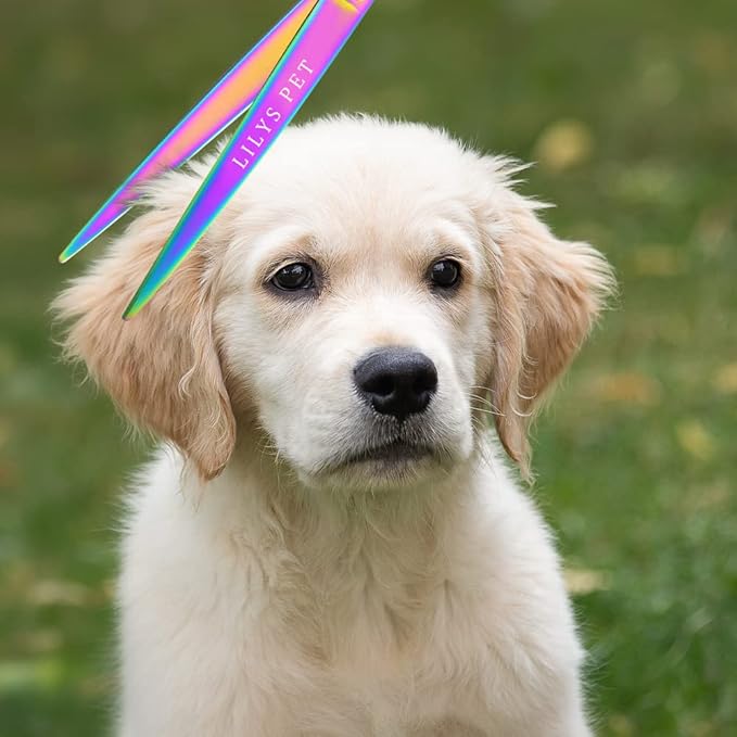 LILYS PET HIGH-END SERIES 8-Inch Japan 440C Rainbow Color Pet Grooming Straight Cutting Scissors,Dog Cat Straight Scissors,Dog Cat Grooming Scissors