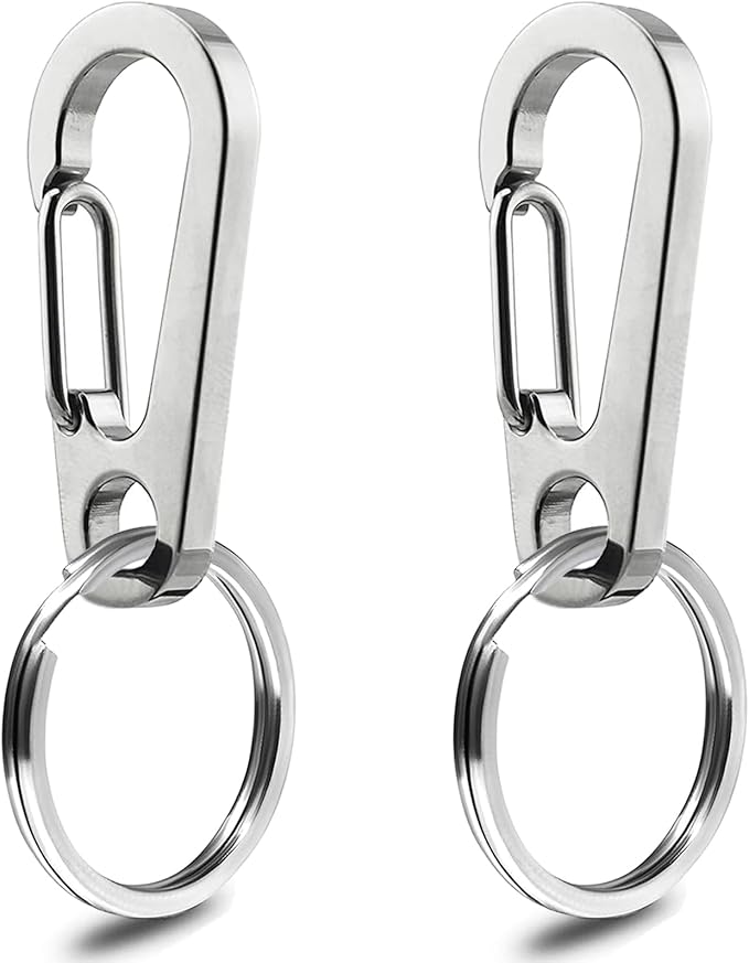IVIA Dog Tag Clips / 2 Pack/Multiple Size 304 Stainless Steel Quick Clip with Rings/Easy Change Dog Cat ID Tag Holder for Small pet Collars and Harnesses.(2 Large Silver)
