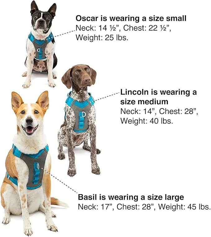 Kurgo Journey Air Dog Harness, Vest Harnesses for Dogs, Pet Hiking Harness for Running & Walking, Reflective, Padded, Includes Control Handle, No Pull Front Clip (Coral, X-Large)