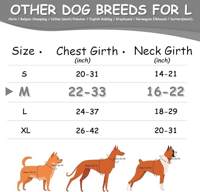 AUROTH Dog Harness Medium Sized Dog, Dog Vest Harness Medium Size Dog, Medium Dog Harness, No Pull Dog Harness for Medium Dogs with Handle, Grey M
