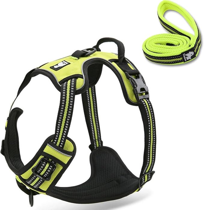 Reflective Nylon No-Pull Dog Harness and Training Leash Set Padded Durable Adjustable(S, Green Set)