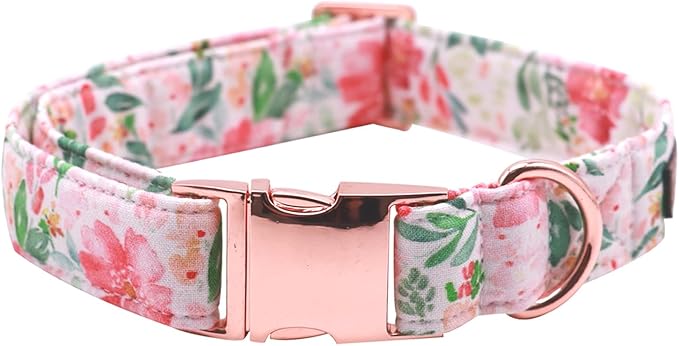 Lionet Paws Dog Collar, Comfortable Adjustable Cute Collar with Metal Buckle for Male Female Puppies Gift, Pink Flower, XS, Neck 8-12 inches