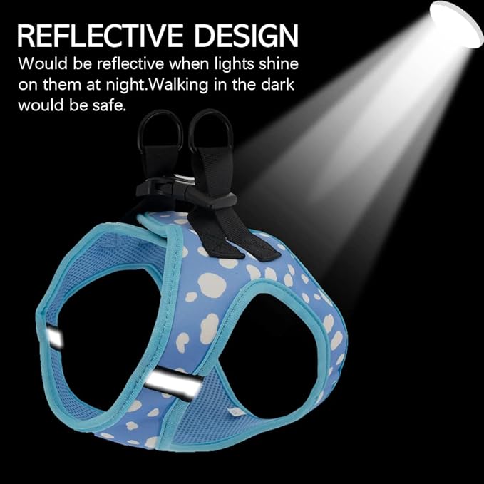 Step in Dog Harness and Leash Set, Reflective Dog Harness and Leash No Pull Dog Harness for Small Medium Large Dogs and Cats, BlueCloud