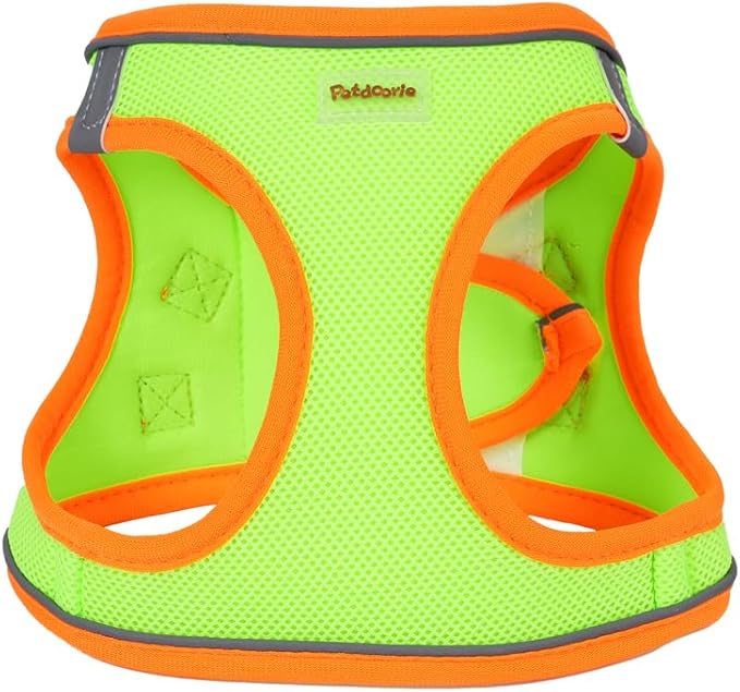 Soft Mesh Dog Harness and Leash Set, No-Chock Step-in Reflective Breathable Lightweight Easy Walk Escape Proof Vest Harnesses with Safety Buckle for Small Medium Dogs, Cats (Green, Large)