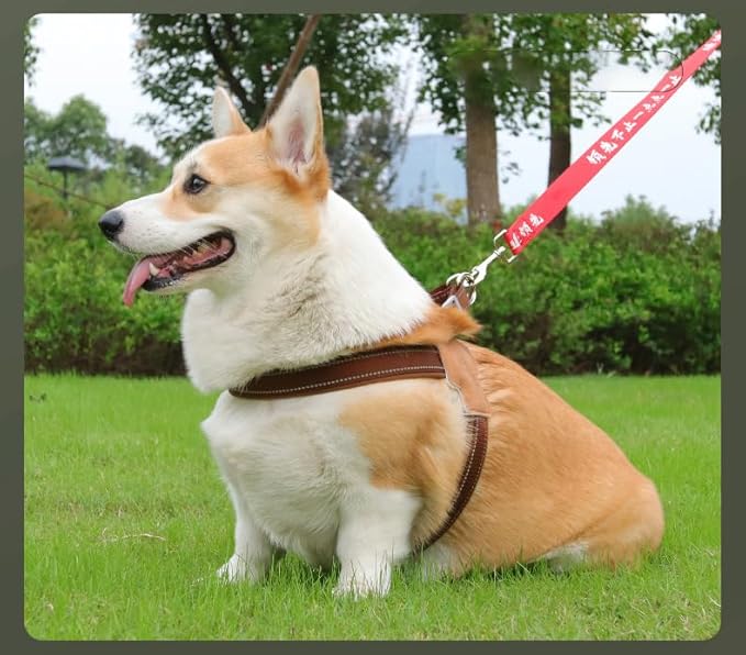 Dog Harness Y-Shaped Harness Breathable Heat Dissipation Easy to Wear Night Reflective Signs for Small and Large Dogs to Wear (Brown,XL Bust 24in-28in)