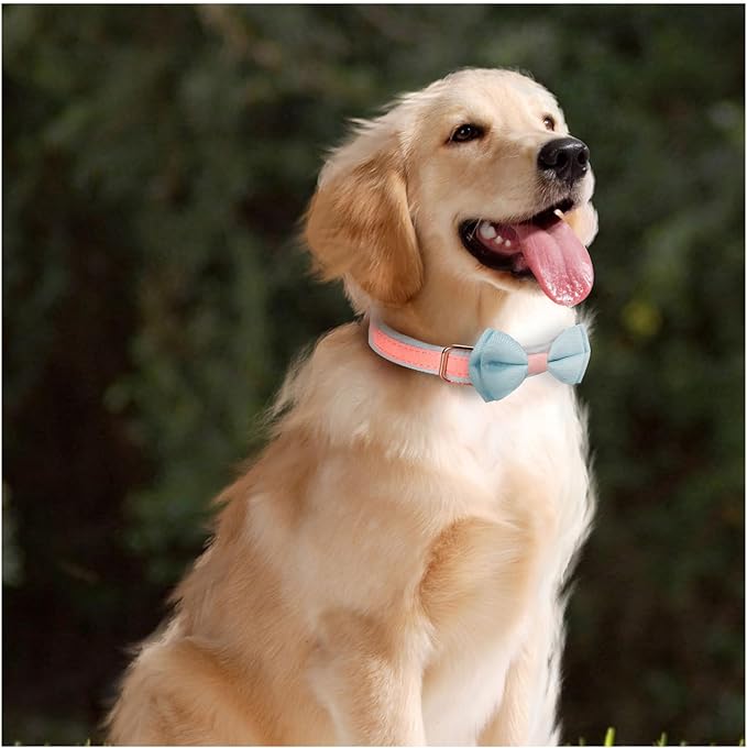 Dog Collar,Metal Buckle Pet Collar Suede Dog Collar Soft&Comfy Adjustable Pet Gift Collars with Bow for Small Medium Large Dogs (Medium, Pink&Blue)