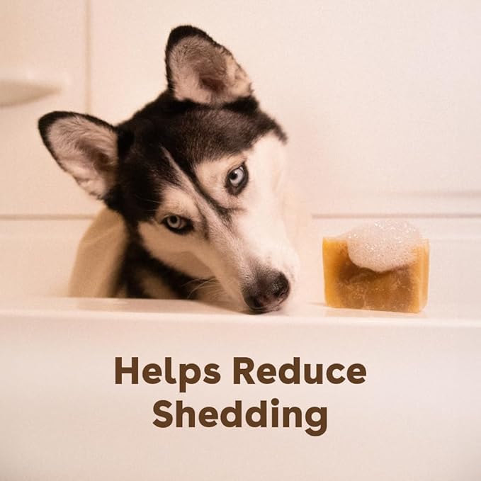 Pupford Sudsy Shampoo Bar for Dogs (Alpine Meadow)