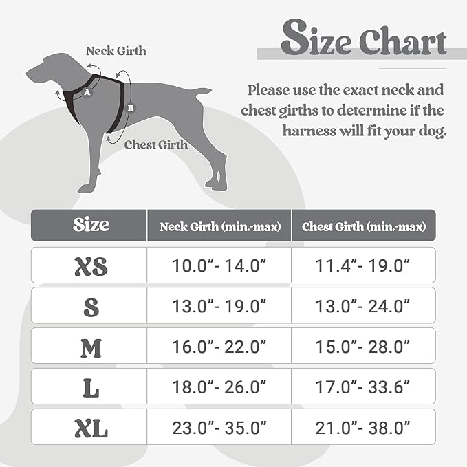 rabbitgoo Dog Harness, No-Pull Pet Harness with 2 Leash Clips, Adjustable Soft Padded Dog Vest, Reflective No-Choke Pet Oxford Vest with Easy Control Handle for Medium Dogs, Grey, M