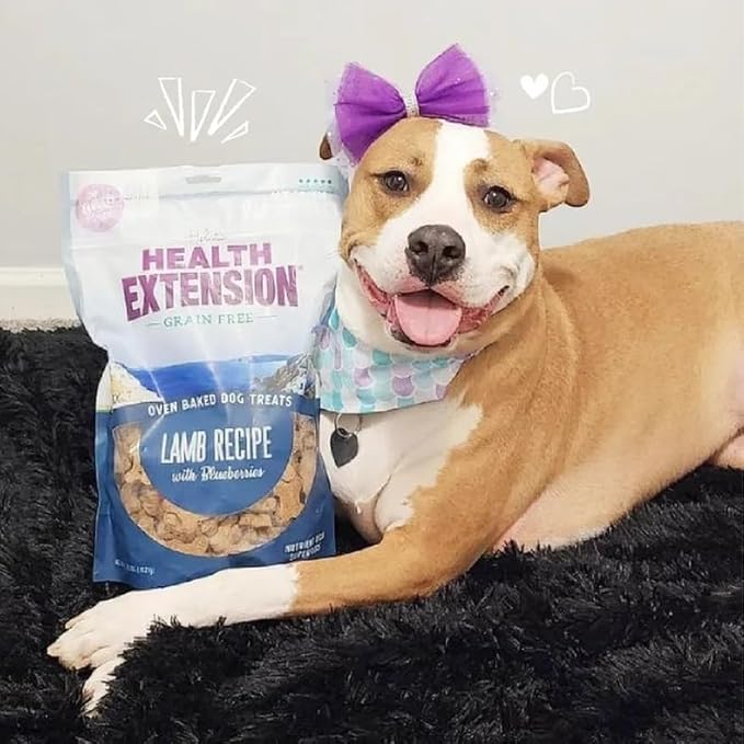 Health Extension Oven-Baked Dog Treats, 6oz (170g), Lamb & Blueberry Recipe – Gluten & Grain-Free, Superfood-Infused, Crunchy Biscuits for Puppy Training (Pack of 4)