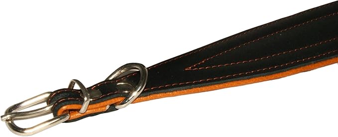 Real Leather Extra Wide Padded Tapered Dog Collar Glossy Black Greyhound Saluki Deerhound Lurcher Whippet Dachshund
