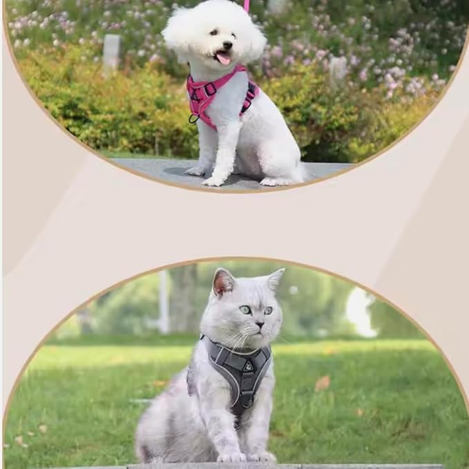 Harness for Dogs & Cats - S. M. L. XL, Nylon, Adjustable Buckle Pet Vest with Matching Leash (Red, Small)