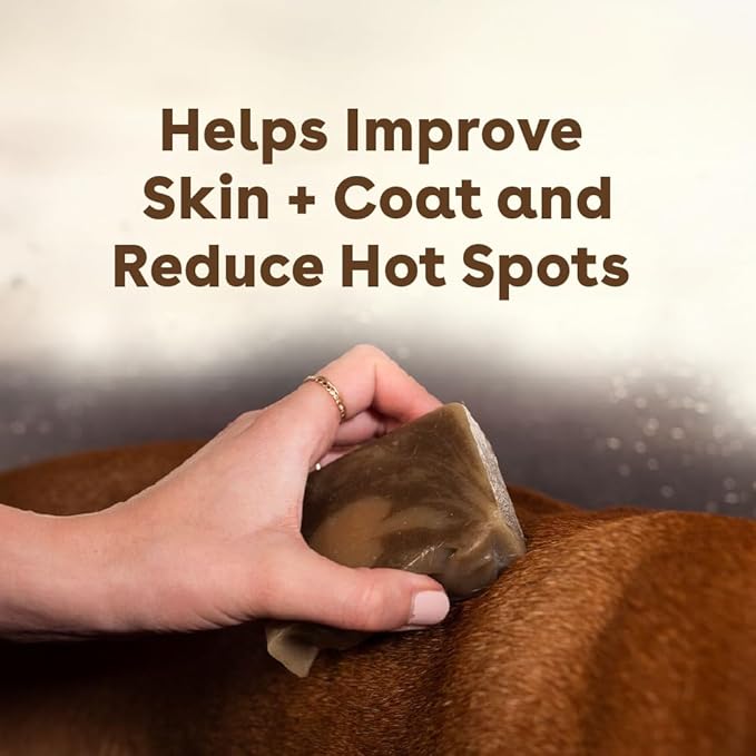 Pupford Sudsy Shampoo Bar for Dogs (Alpine Meadow)