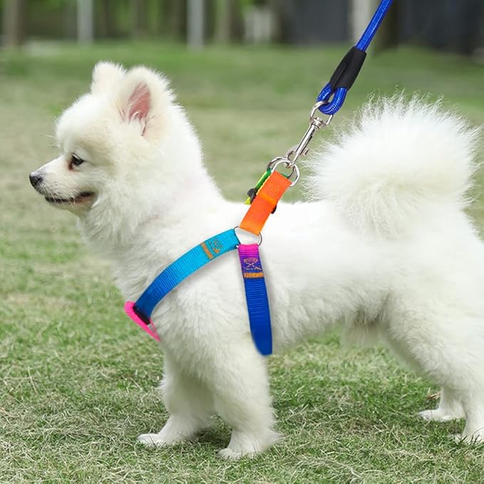 PetsHome Dog Harness & Leash Set Adjustable No Pull Safe Nylon Pet Harness with Leash for Outdoor Walking for Dogs Medium Rainbow