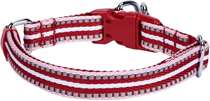 Blueberry Pet 3M Reflective Dog Collars | Adjustable Dog Collar w/Multi-Colored Stripe - Marsala Red and Pink | Nylon Pet Collars for Dogs & Refflective Dog Collar for Medium Dogs