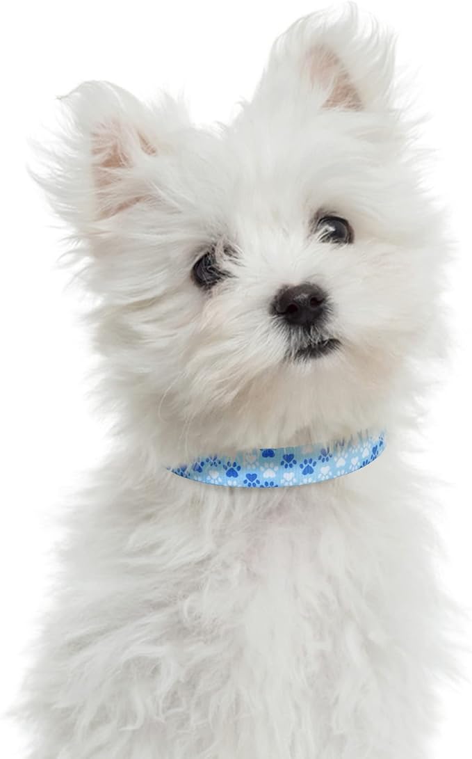 Mile High Life Dog Collar | Nylon Puppy Collars w Cute Patterns | Lightweight Girl Dog Collar | Boy Dog Collar for Small/Medium/Large Dogs (Blue Foot, Small)
