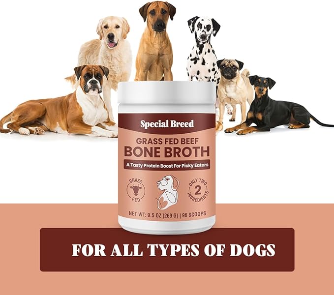 Special Breed Bone Broth Powder for Dogs and Cats - Dog and Cat Food Topper, Grass Fed Beef Broth Supplement, 9.5 oz