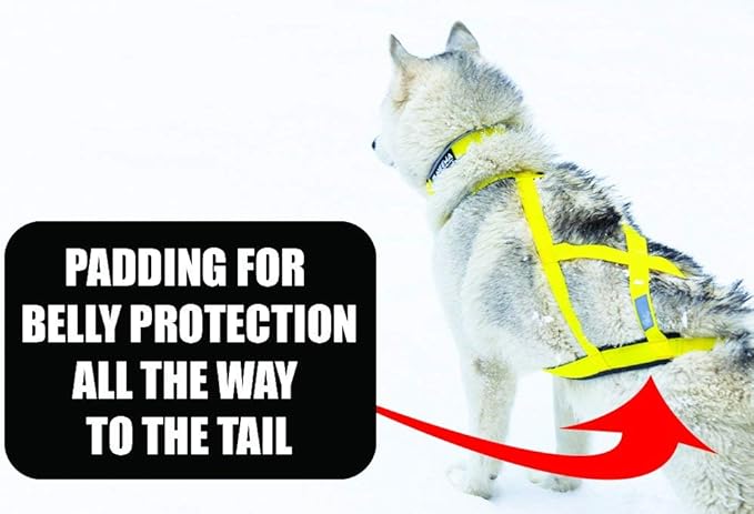 Neewa Pro Sled Dog Harness (Orange, Medium (Neck 17 Chest 29 Back 20))