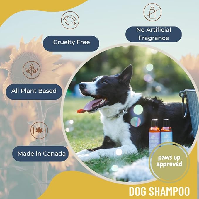 Pine&Fir Deodorizing Dog Shampoo - for Oily or Dry Dog Skin-Natural Ingredients with Organic Essential Oils- Made in Canada