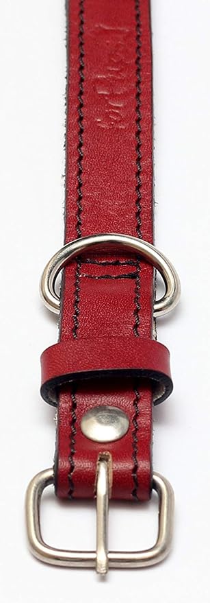 Premium Leather Collars with Stainless Steel Buckles (12"-15", Red)